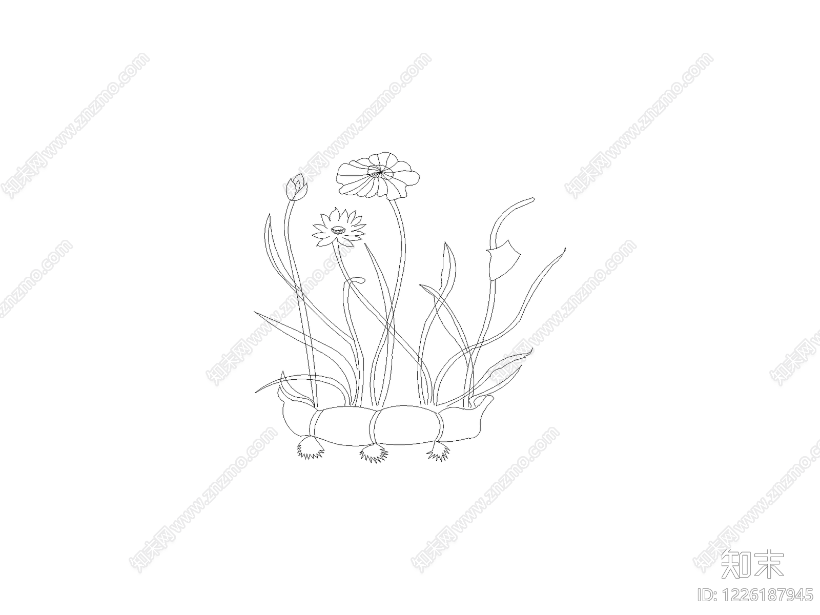 花CAD图纸