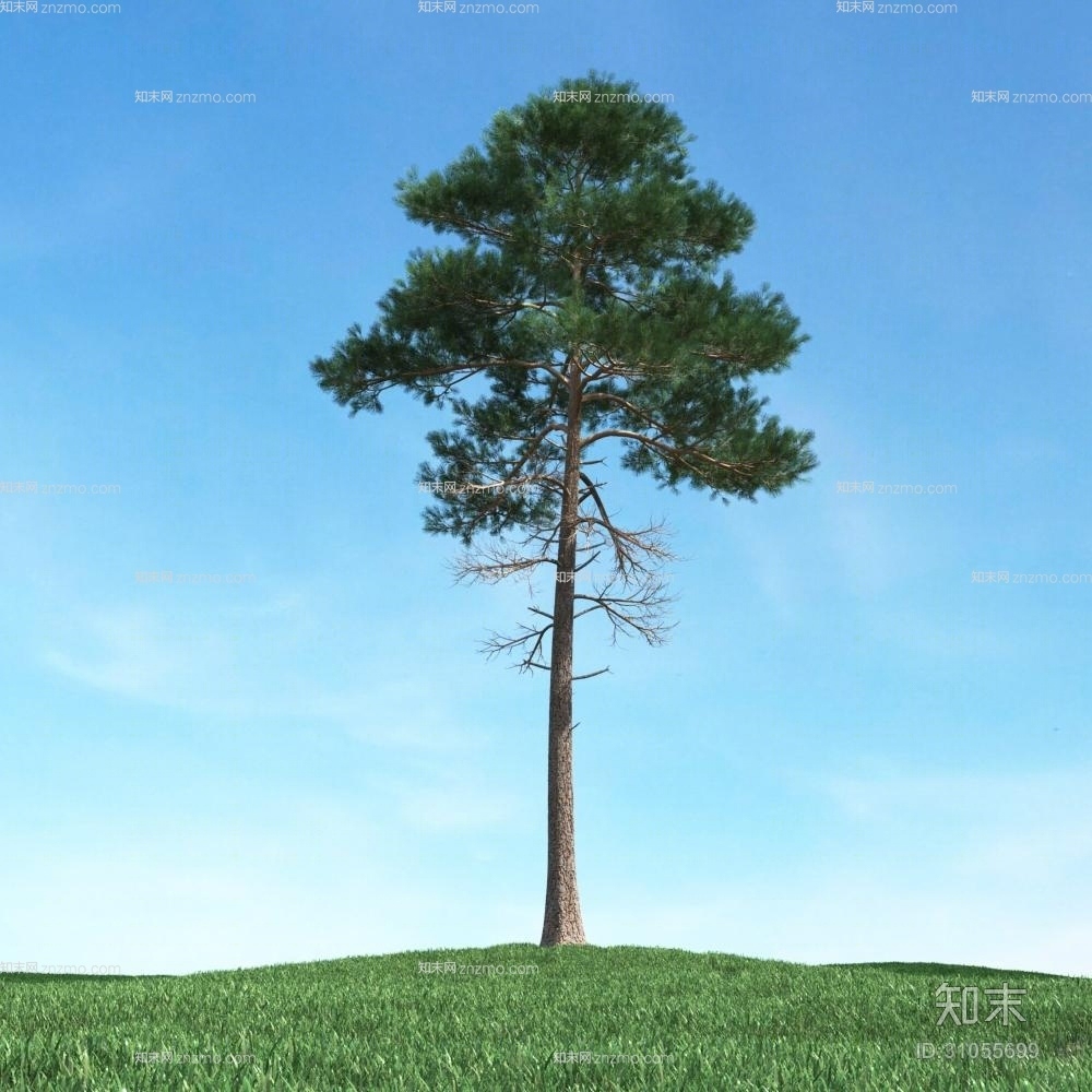 绿色景观树3D模型下载【ID:31055699】