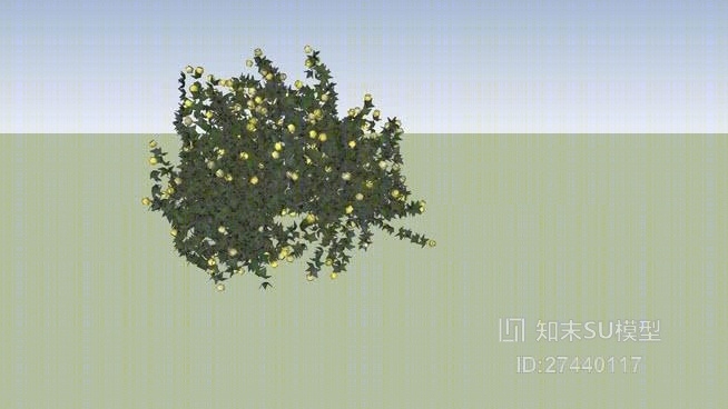 树SU模型下载【ID:117984682】