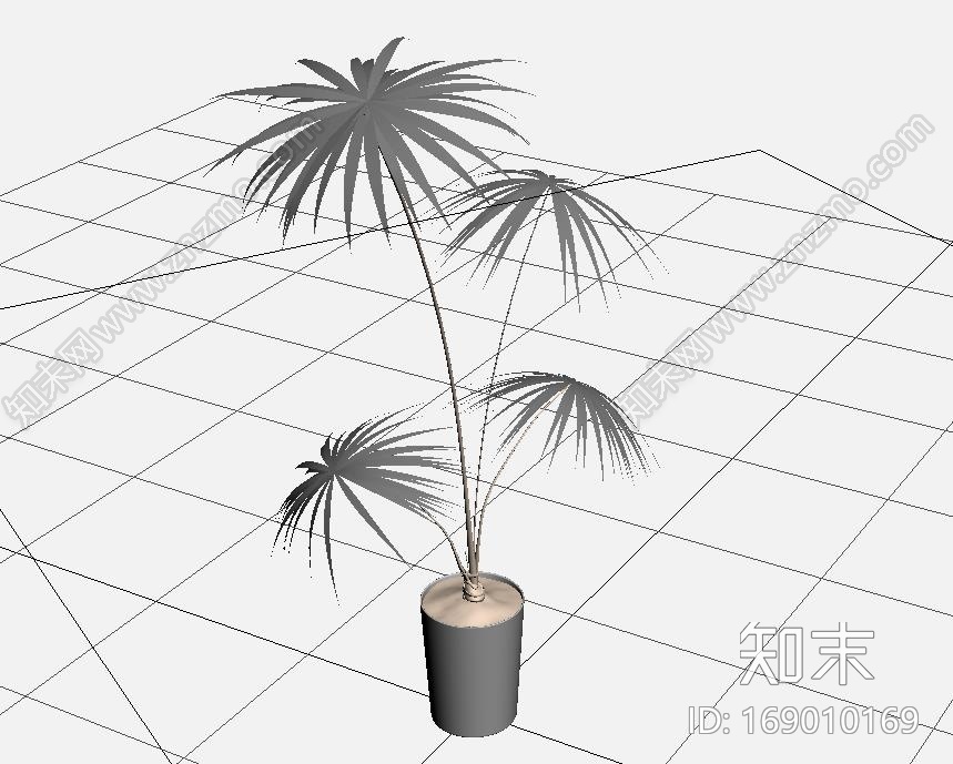 ARCHMODELS植物CG模型下载【ID:169010169】