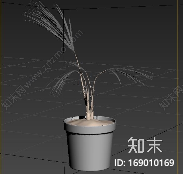 ARCHMODELS植物CG模型下载【ID:169010169】