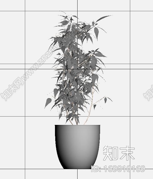 ARCHMODELS植物CG模型下载【ID:169010169】