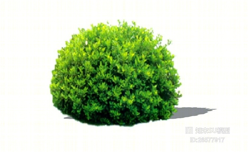 2D海桐球SU模型下载【ID:26577917】
