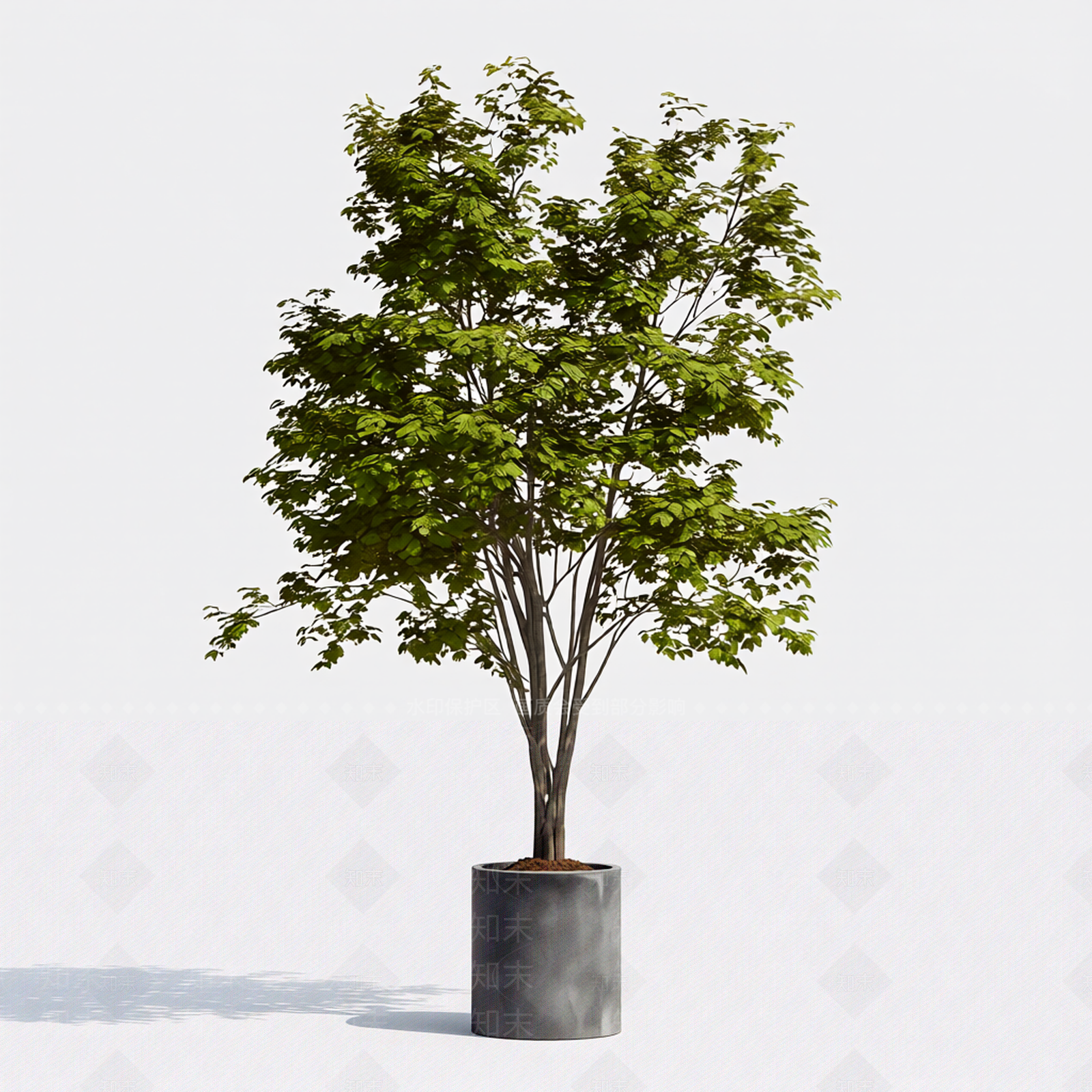 带盆完整盆栽3D模型下载【ID:1206197587】