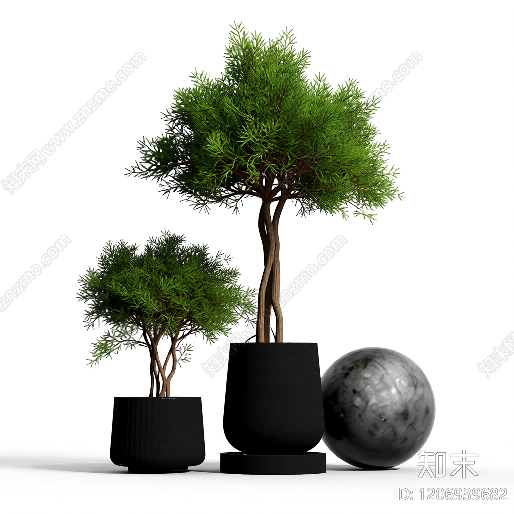 盆栽植物组合3D模型下载【ID:1206939682】