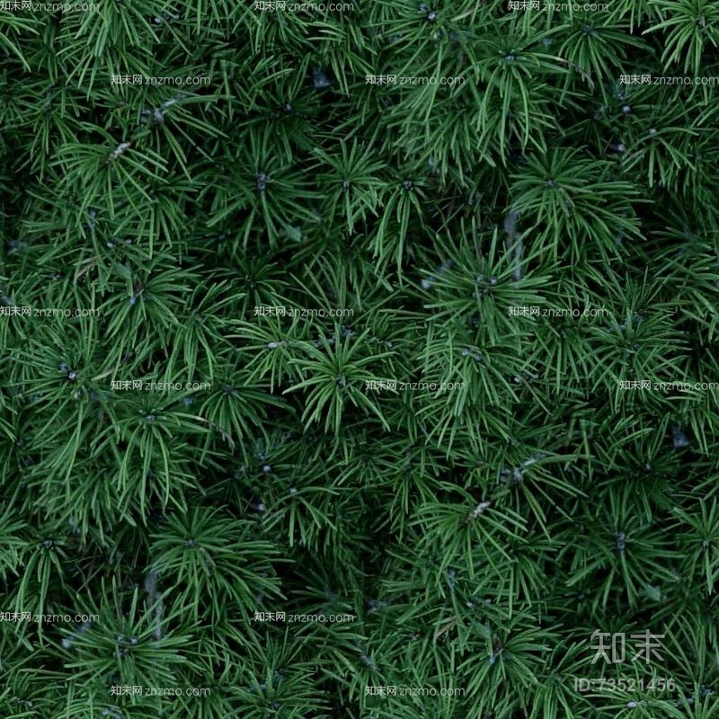 灌木贴图下载【ID:73521456】