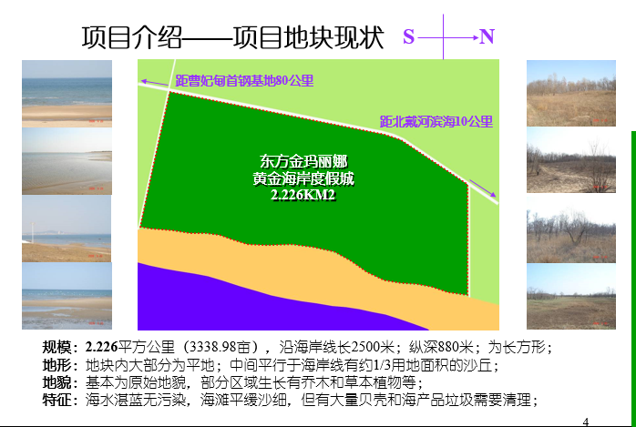 秦皇岛项目概念规划招商稿cad施工图下载【ID:151734112】