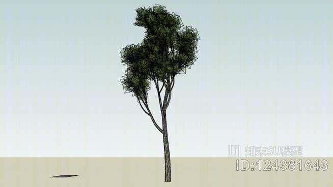松树SU模型下载【ID:124381643】