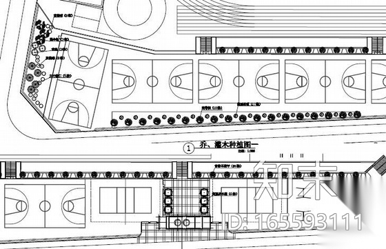 东莞某中学景观改扩建工程园绿化施工图cad施工图下载【ID:165593111】