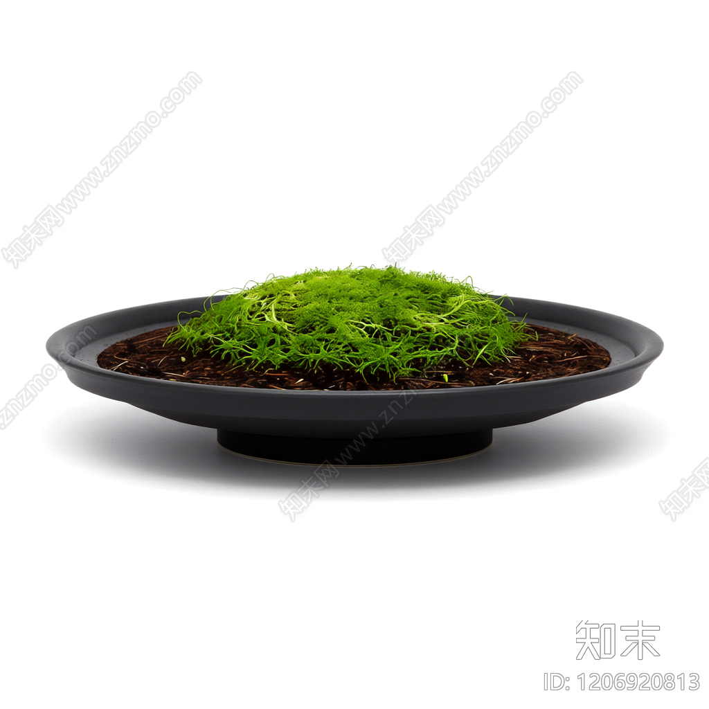 盆栽植物装饰组件3D模型下载【ID:1206920813】