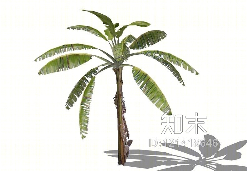 3D植物树SU模型下载【ID:121418646】