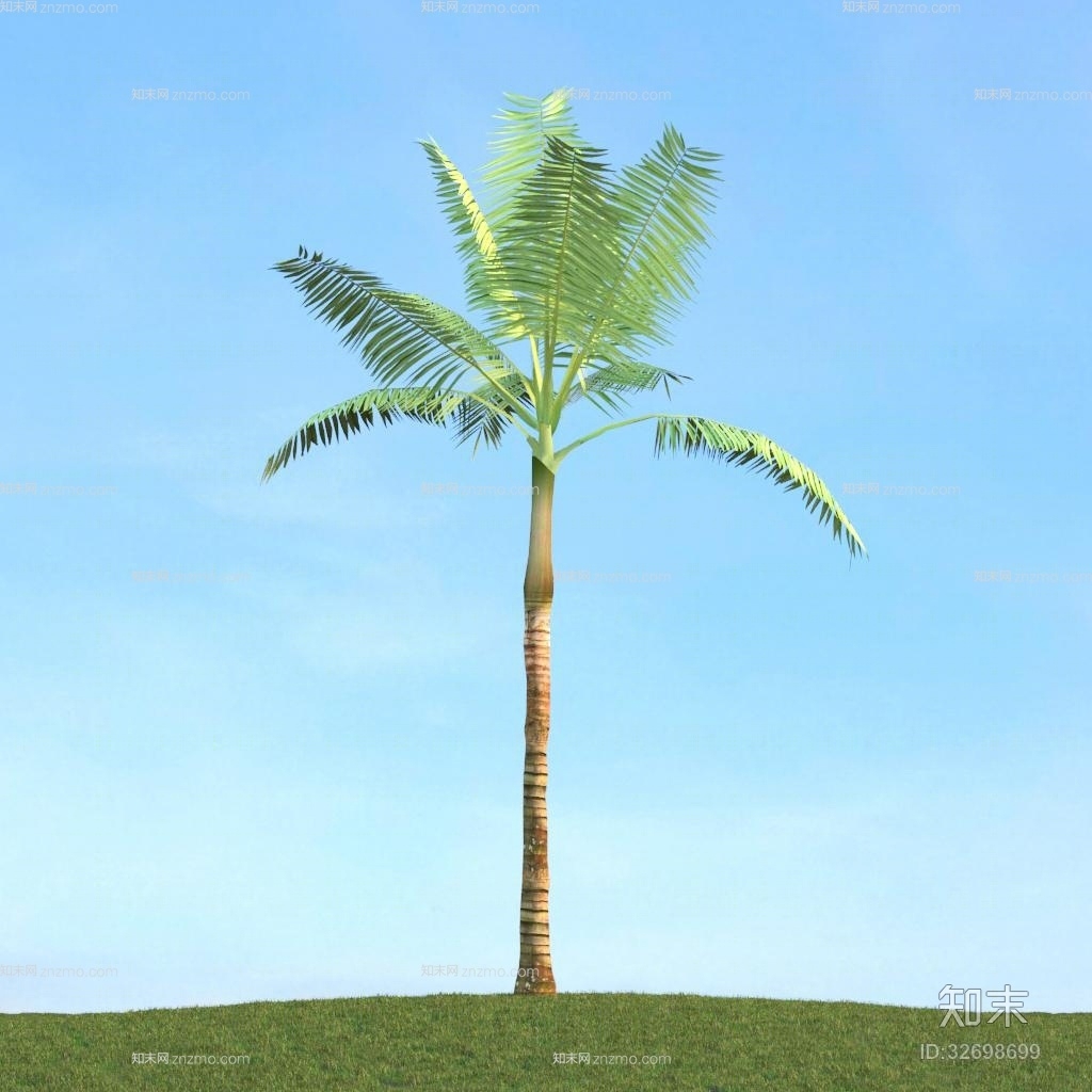 绿色景观树3D模型下载【ID:32698699】