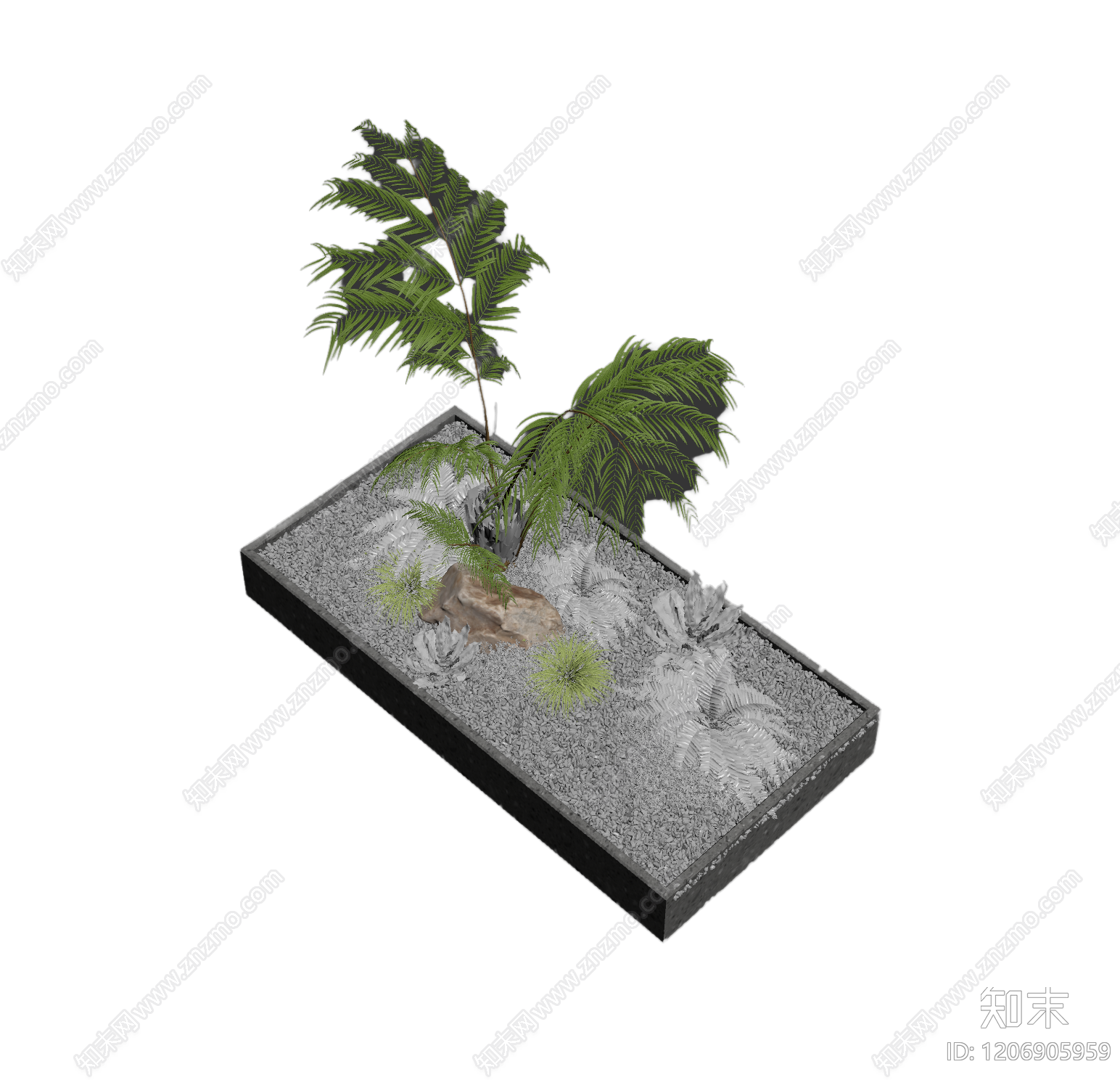 盆栽蕨类植物组合3D模型下载【ID:1206905959】
