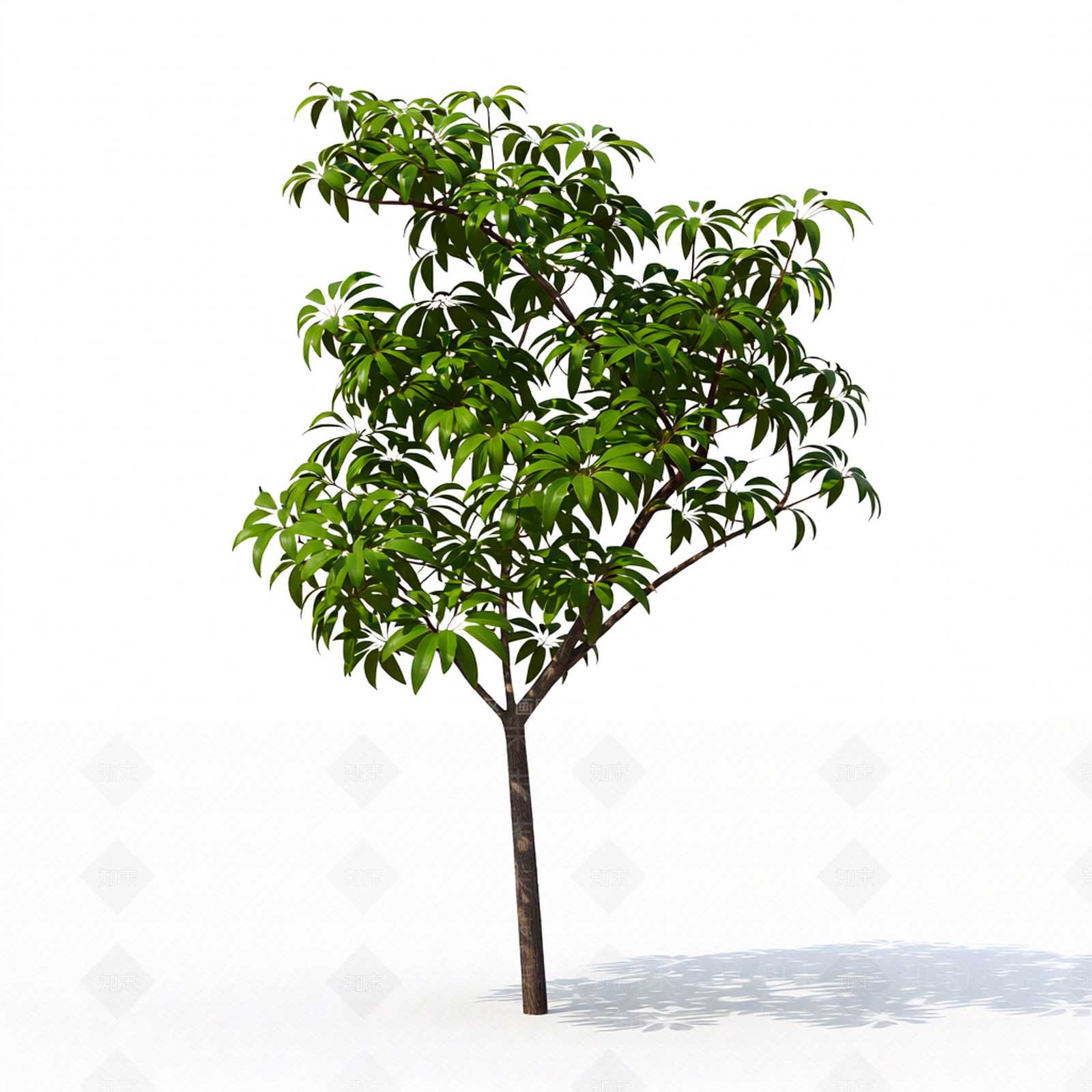 带枝叶的植物模型3D模型下载【ID:1206183938】