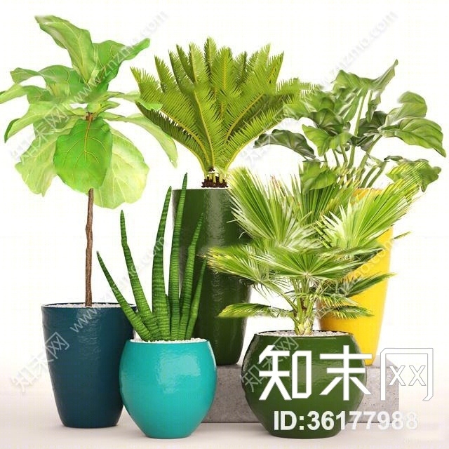 现代苏铁虎皮兰盆栽组合3D模型下载【ID:36177988】