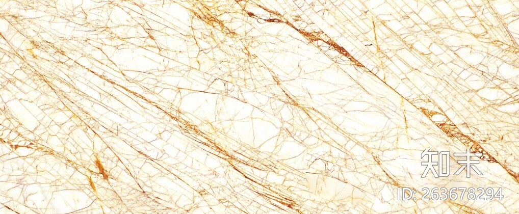 东成石材金蜘蛛贴图下载【ID:263678294】
