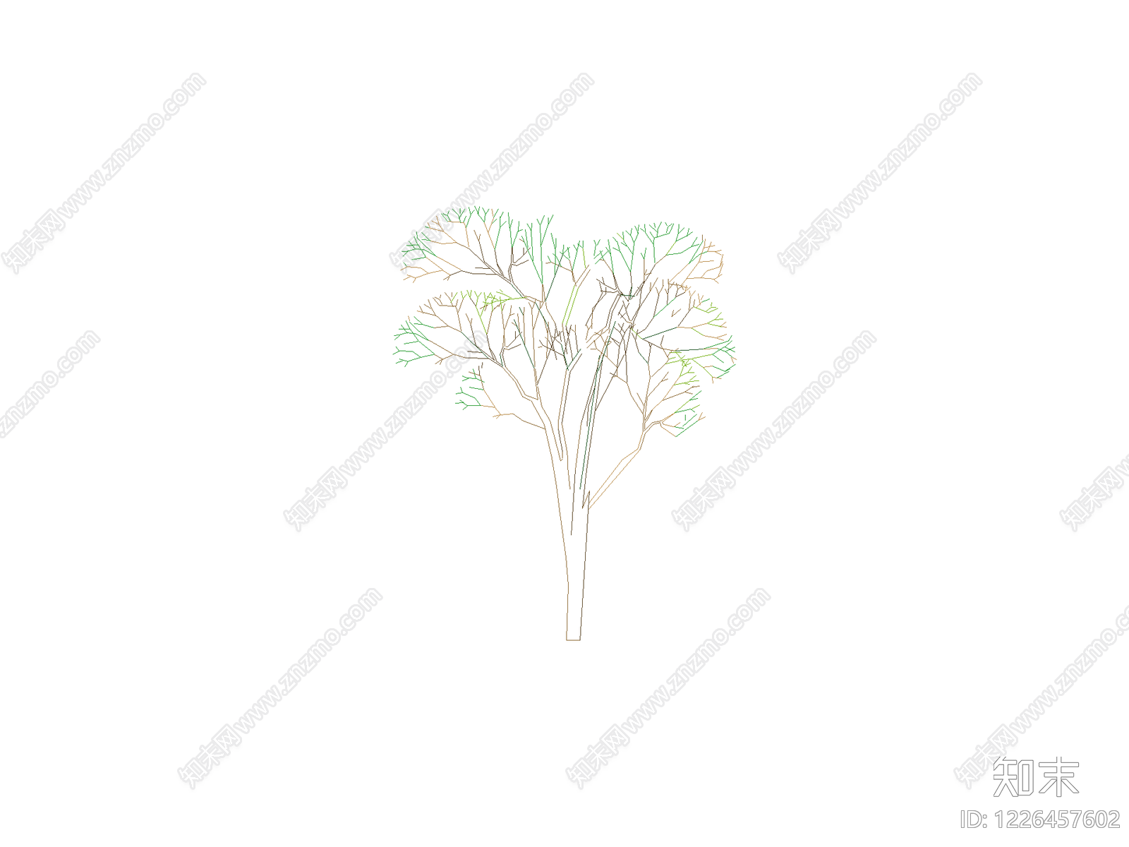 乔木种植CAD图纸