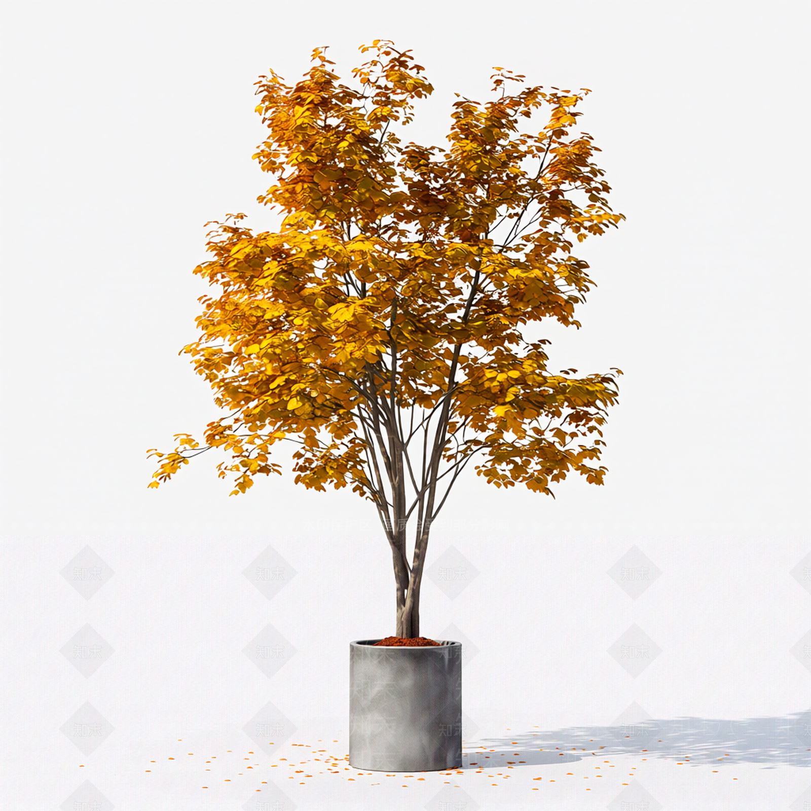带盆完整盆栽3D模型下载【ID:1206197587】
