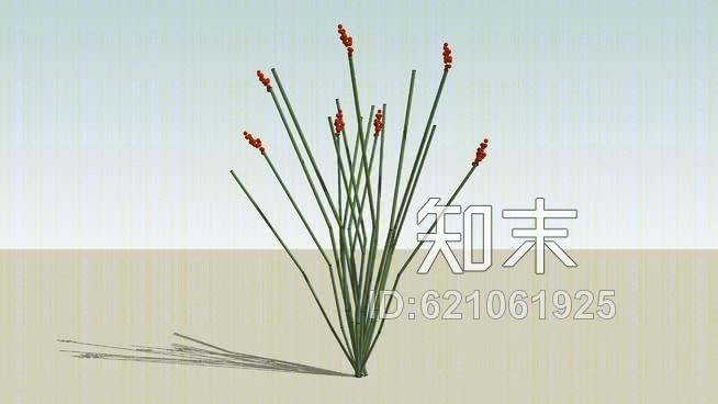 三维仙人掌SU模型下载【ID:621061925】