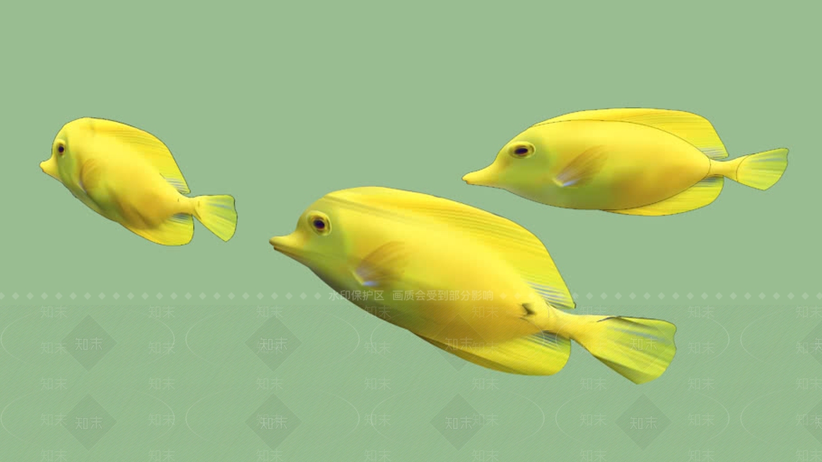 2D和3D鱼SU模型下载【ID:1162062020】