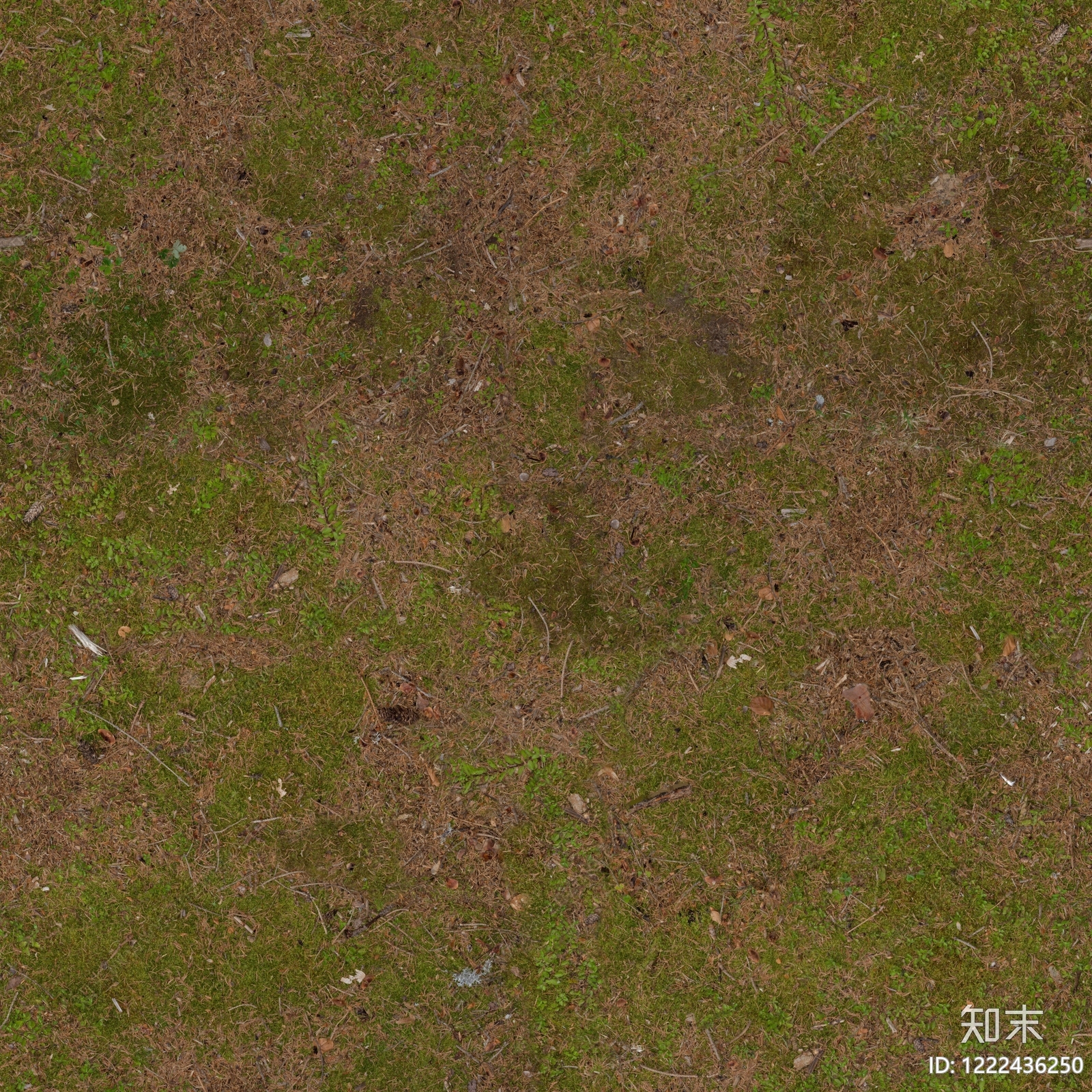 自然地面贴图下载【ID:1222436250】