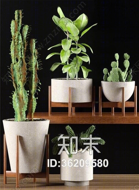 现代仙人掌植物盆栽组合3D模型下载【ID:36209580】