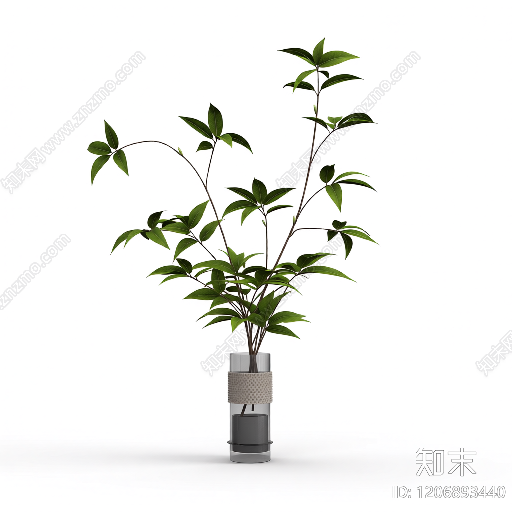 盆栽植物装饰3D模型下载【ID:1206893440】