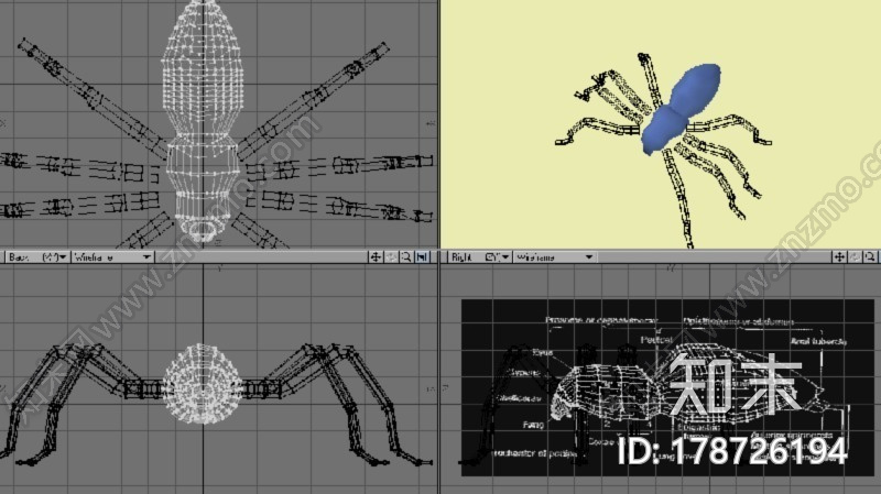 大号蜘蛛3d打印模型下载【ID:178726194】