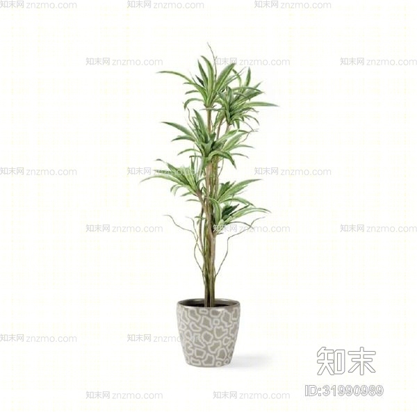 绿色盆栽3D模型下载【ID:31990989】