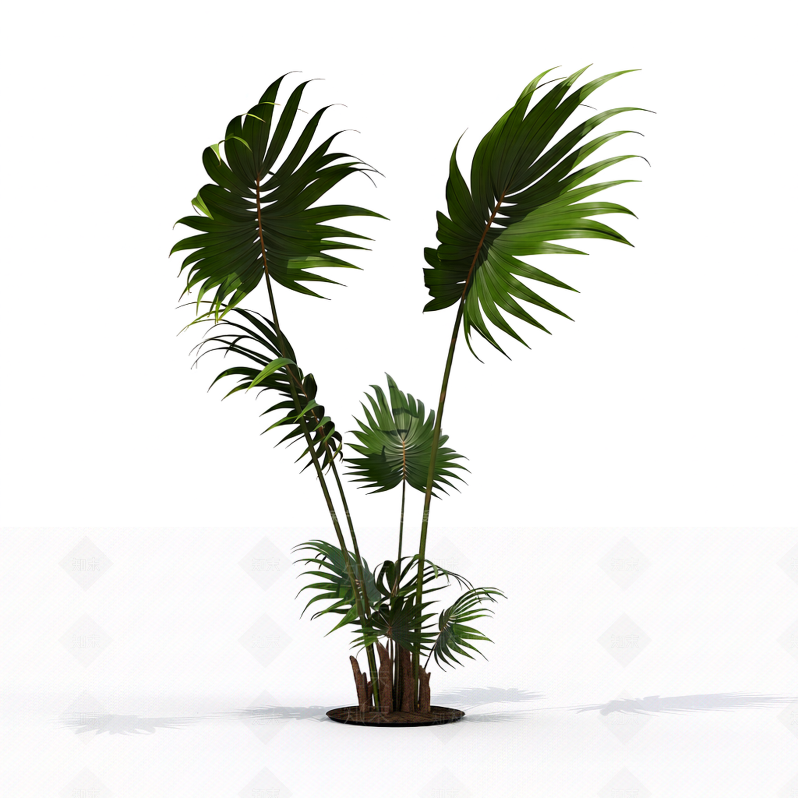 带根部的绿色植物3D模型下载【ID:1206195505】