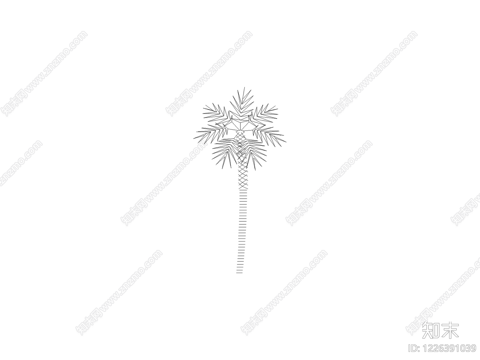 乔木种植CAD图纸