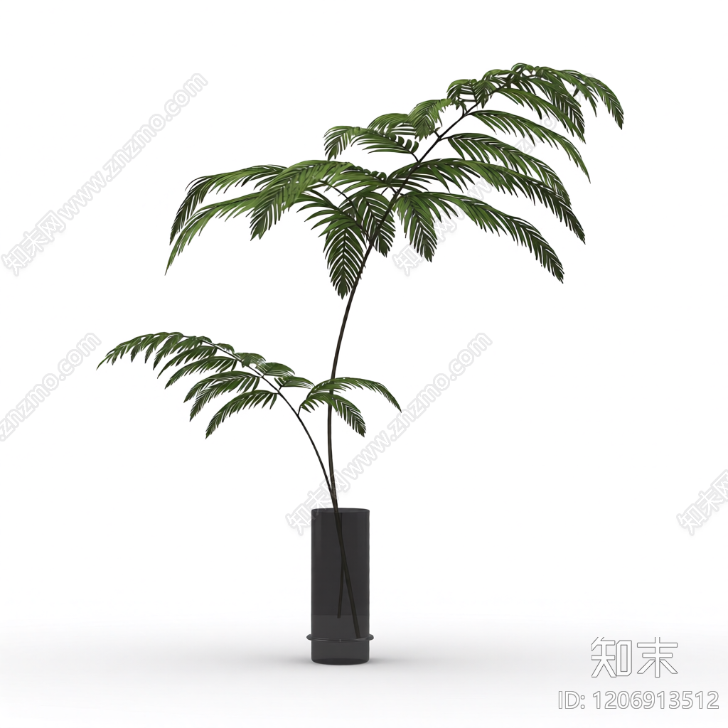 盆栽蕨类植物3D模型下载【ID:1206913512】