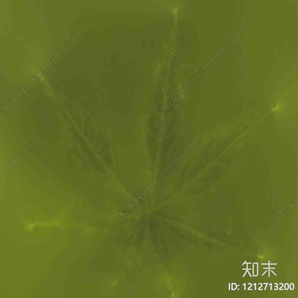 叶片纹理贴图下载【ID:1212713200】