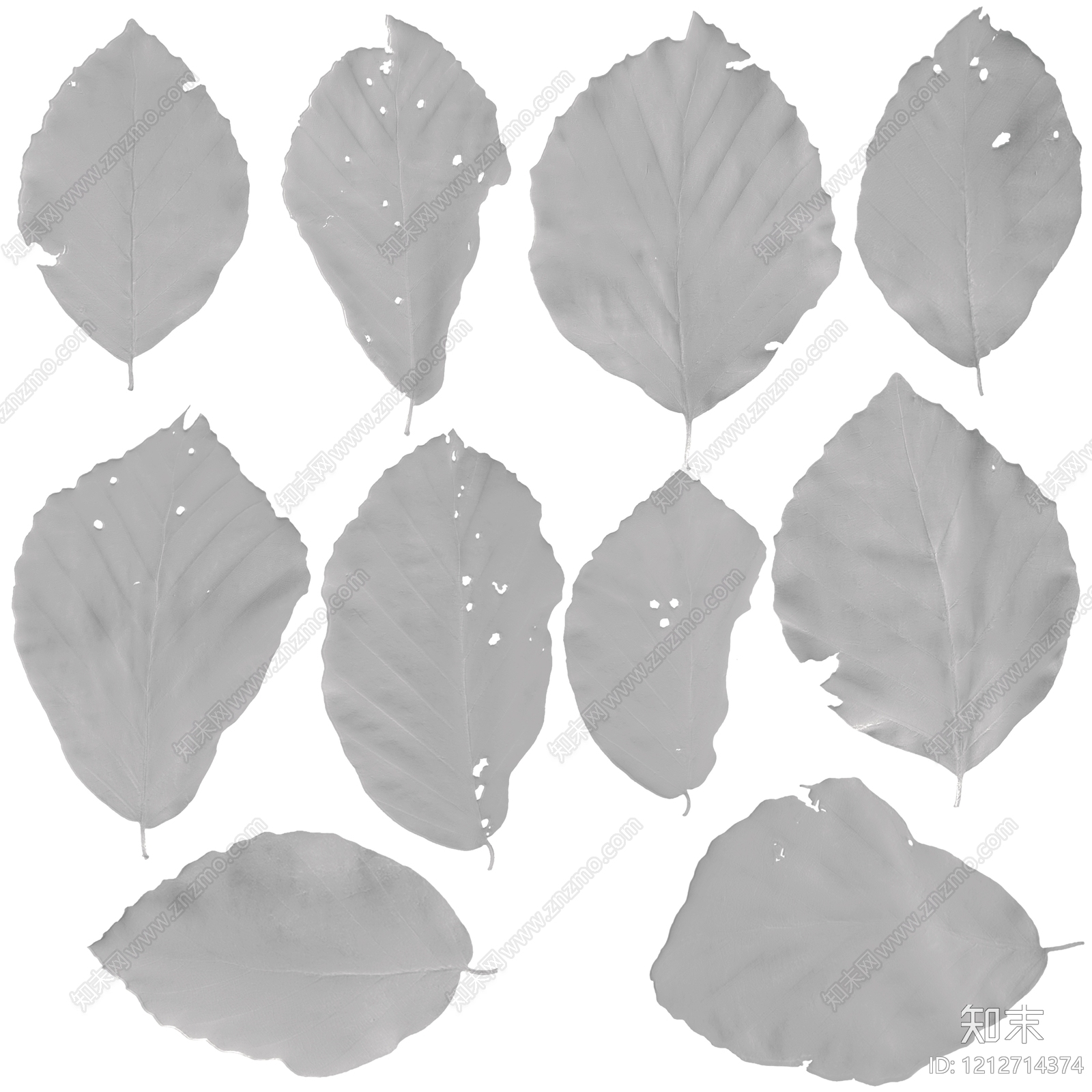 叶片纹理贴图下载【ID:1212714374】