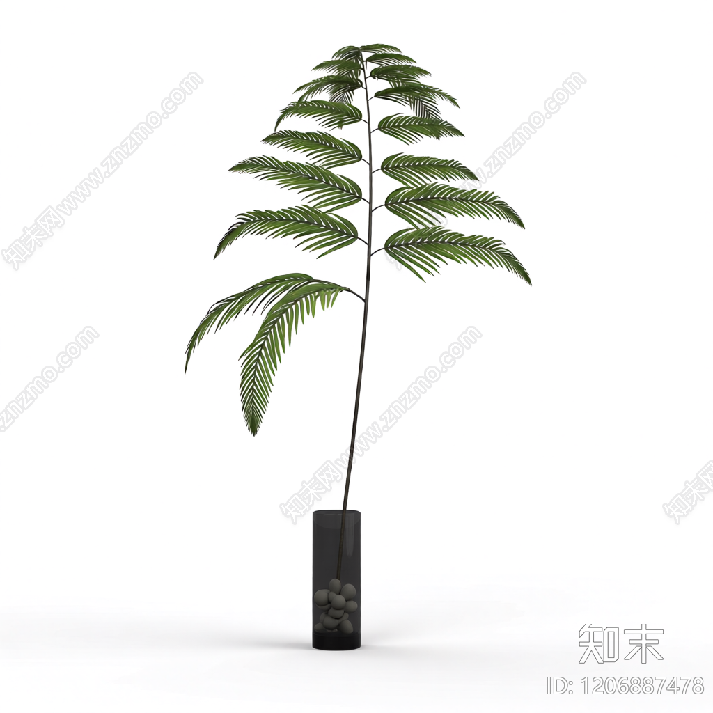 盆栽蕨类植物3D模型下载【ID:1206887478】