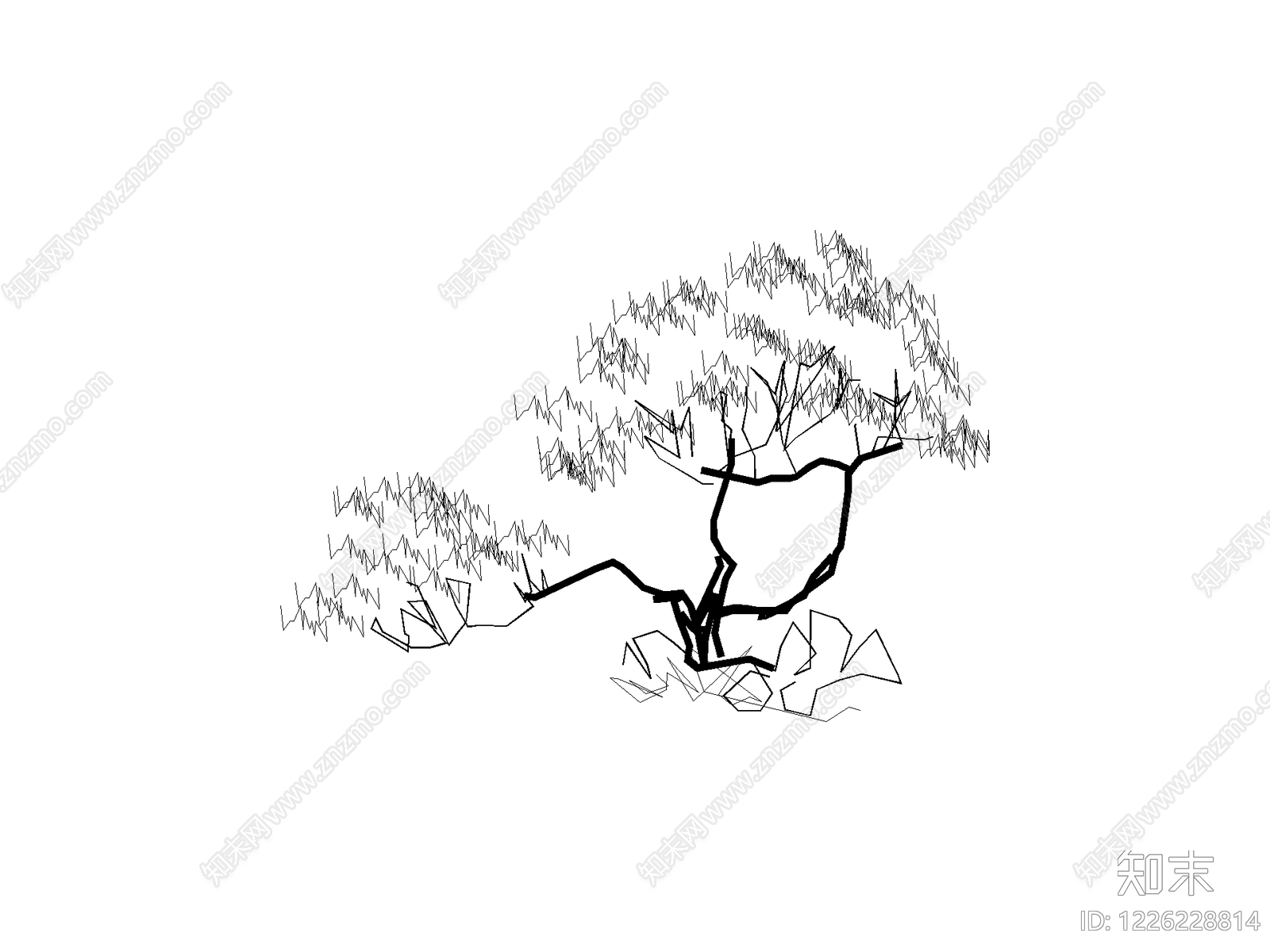 现代乔木种植CAD图纸