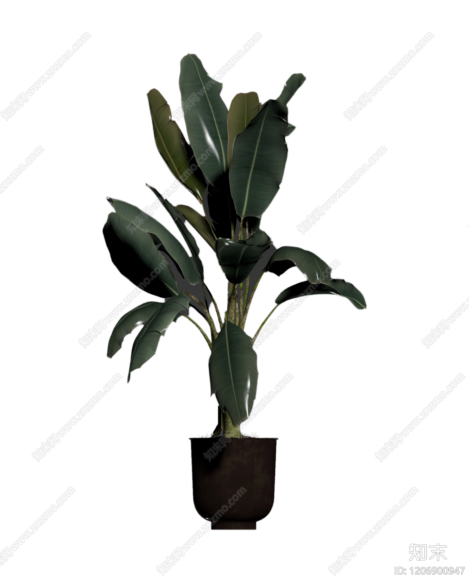 盆栽植物带花盆3D模型下载【ID:1206900947】
