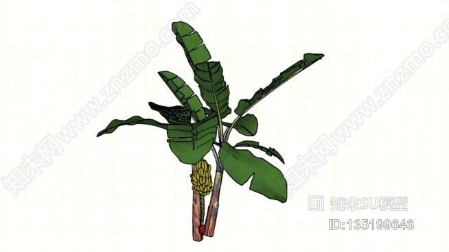 水果香蕉树SU模型下载【ID:135199646】
