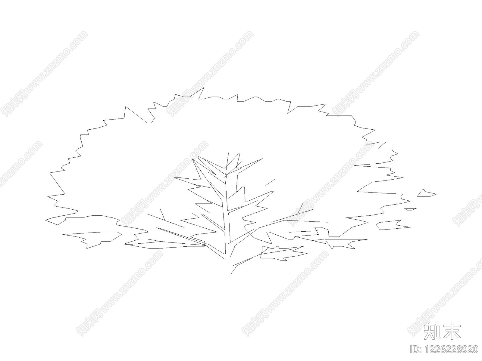 现代乔木种植CAD图纸