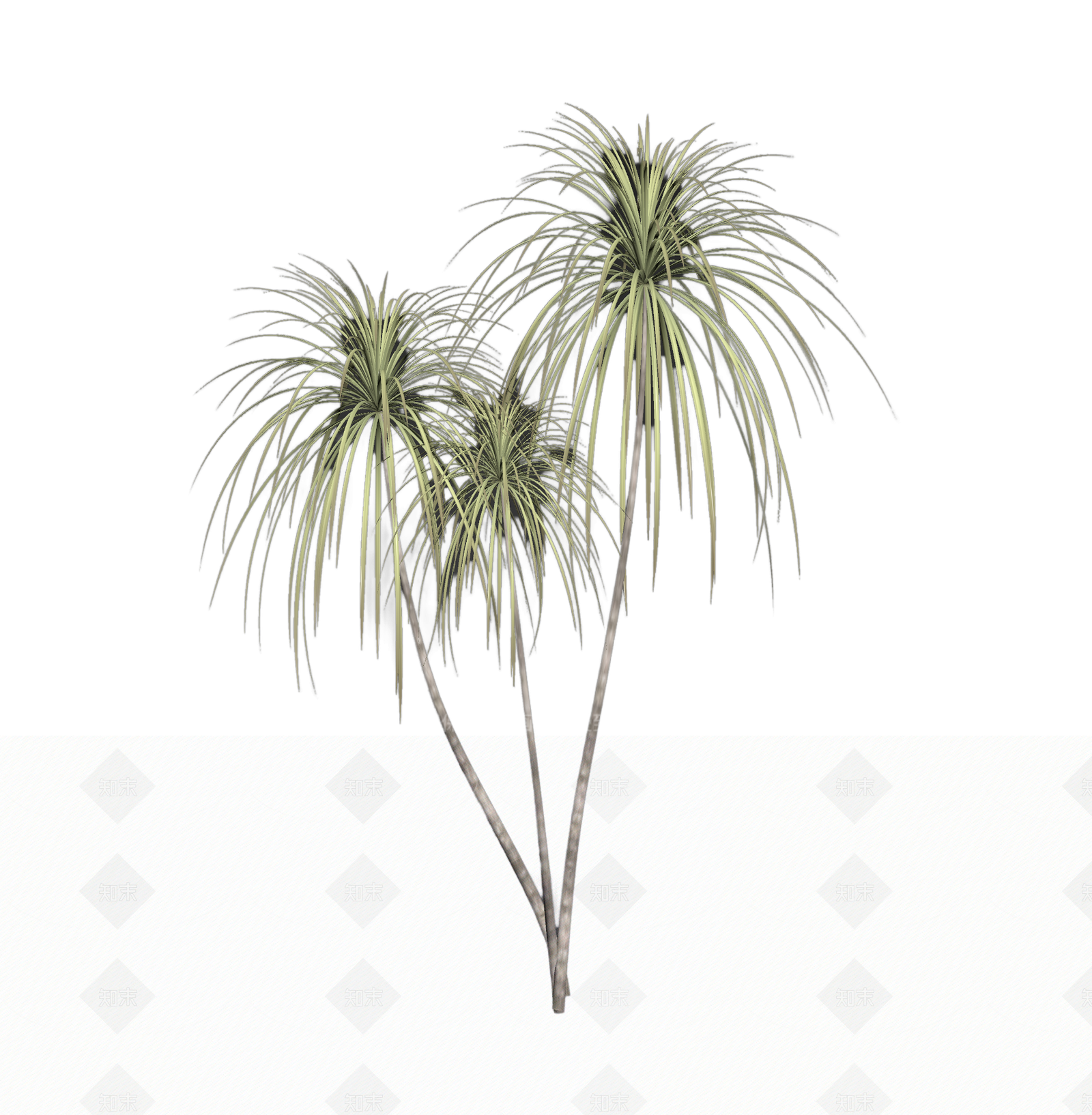 多枝棕榈植物模型3D模型下载【ID:1206194109】