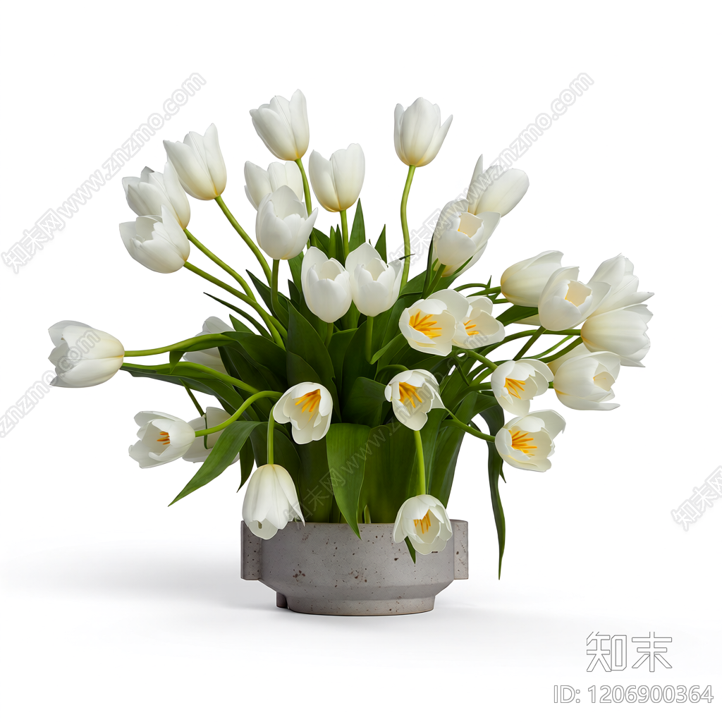 白色郁金香花束盆栽3D模型下载【ID:1206900364】