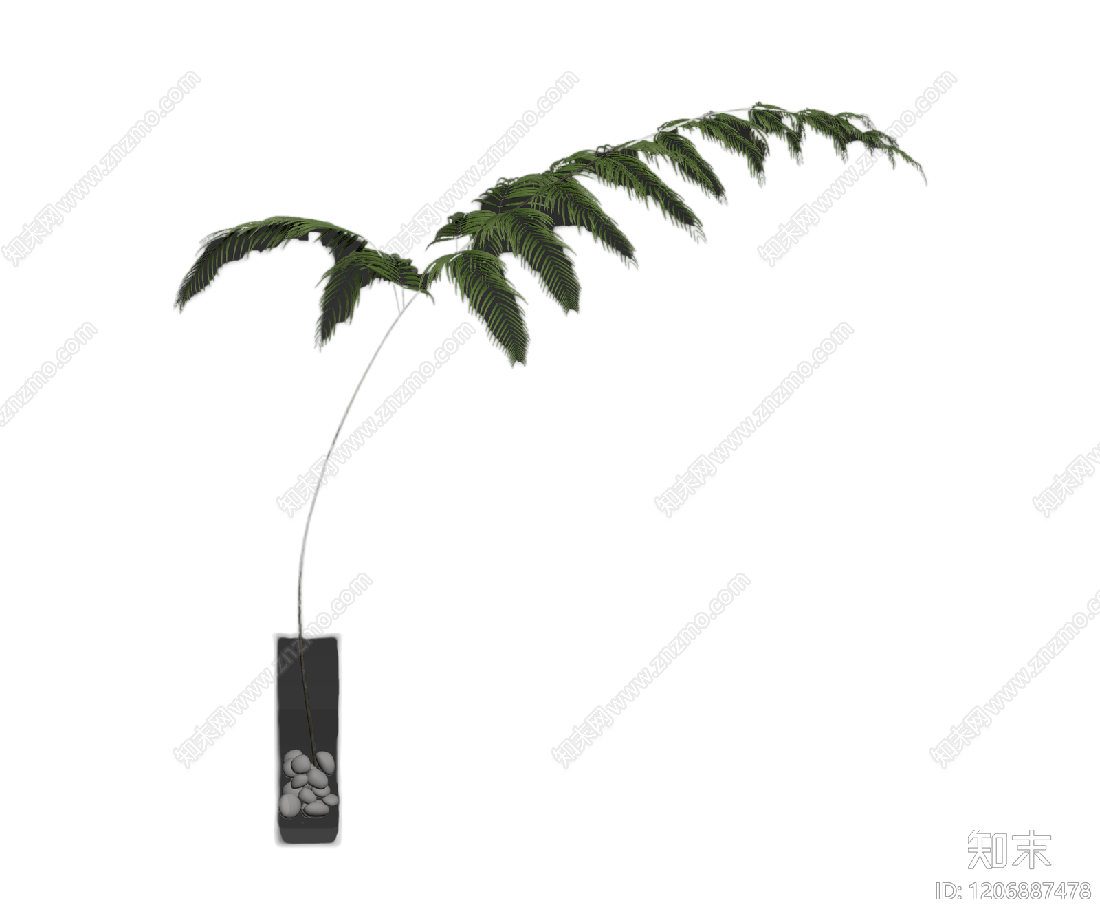 盆栽蕨类植物3D模型下载【ID:1206887478】