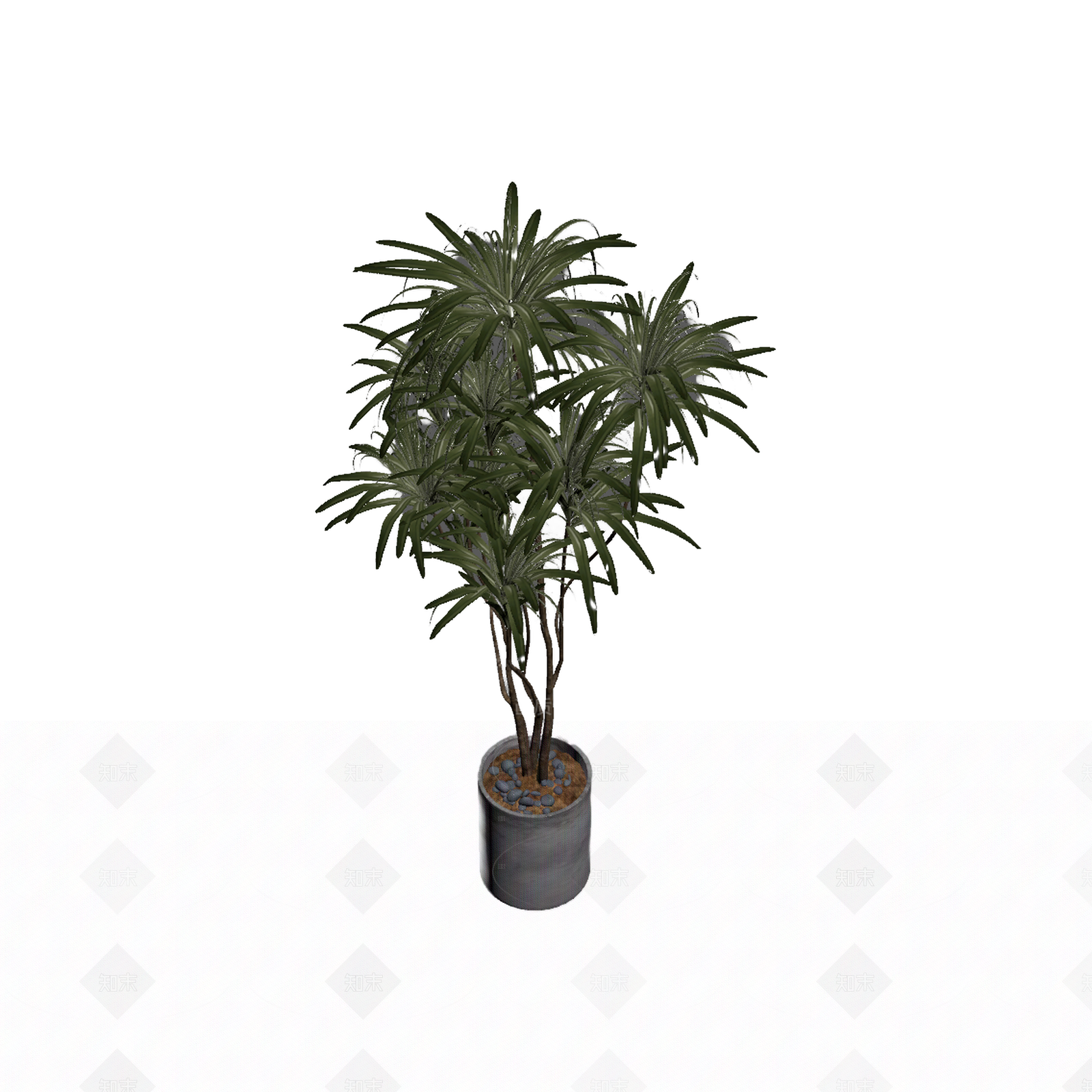 带盆绿植盆栽3D模型下载【ID:1206185292】
