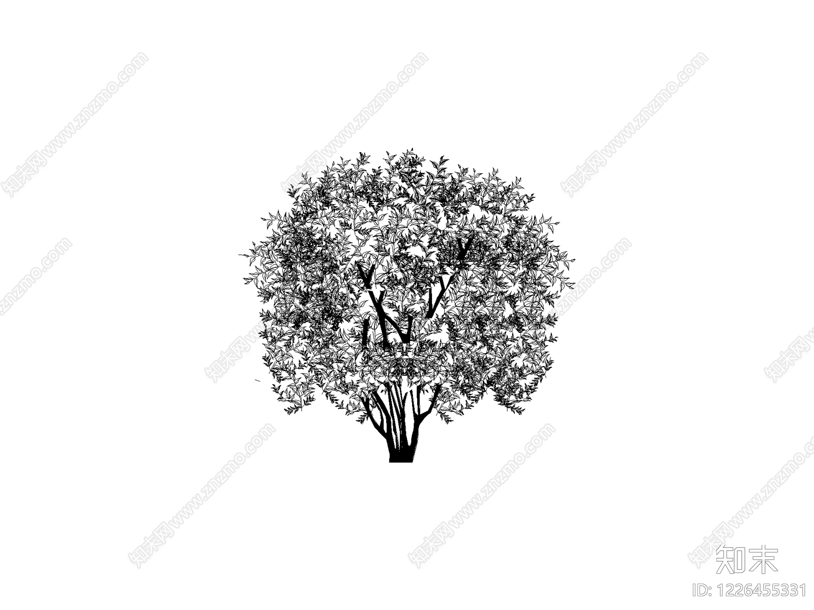 乔木种植CAD图纸