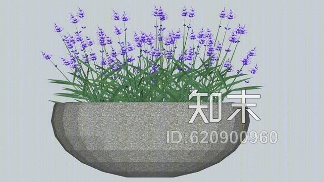 麦卡塔拉瓦达SU模型下载【ID:620900960】