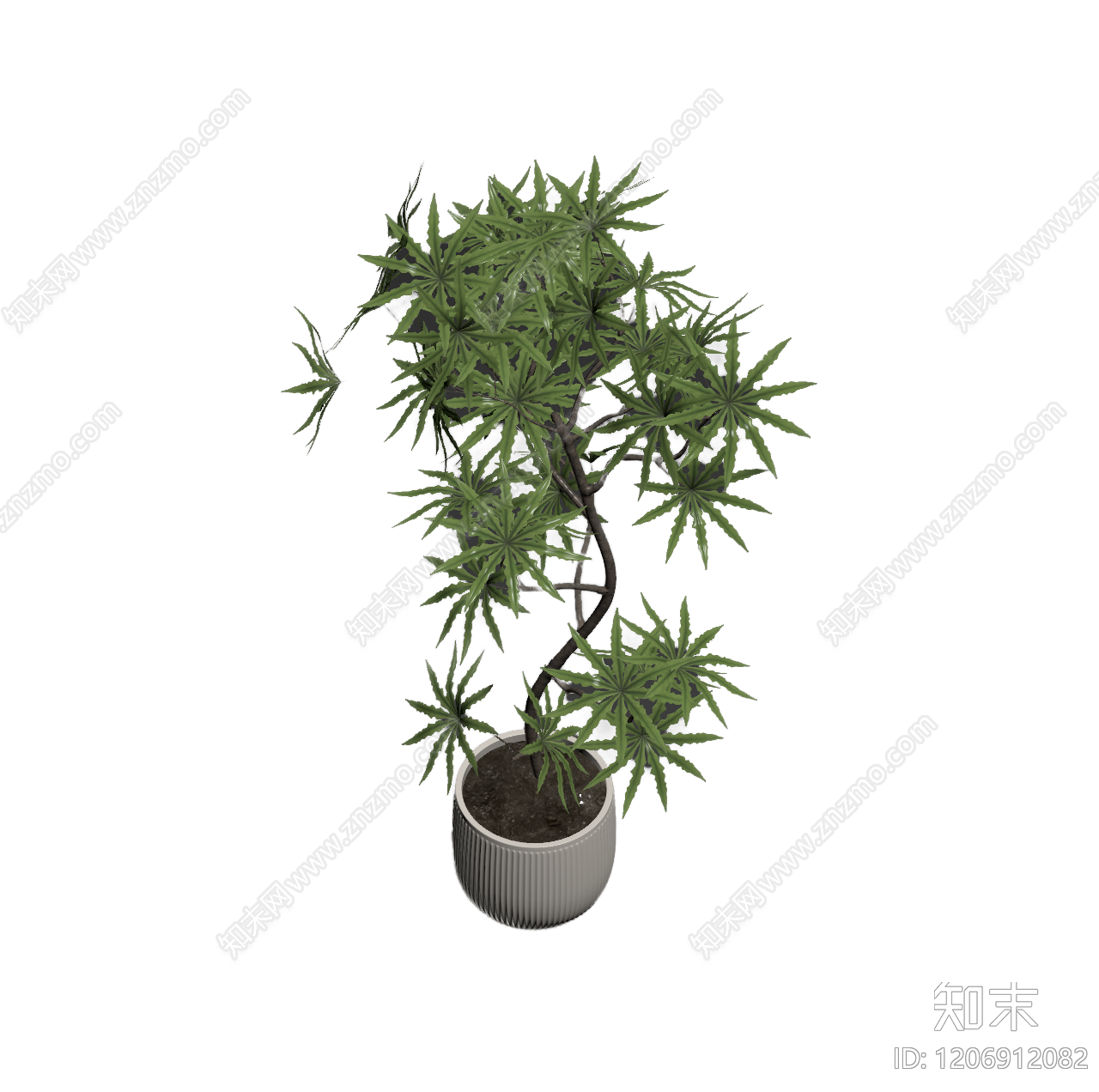 盆栽植物装饰3D模型下载【ID:1206912082】