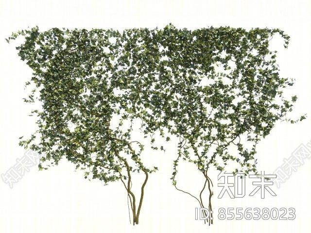 现代爬山虎3D模型下载【ID:855638023】