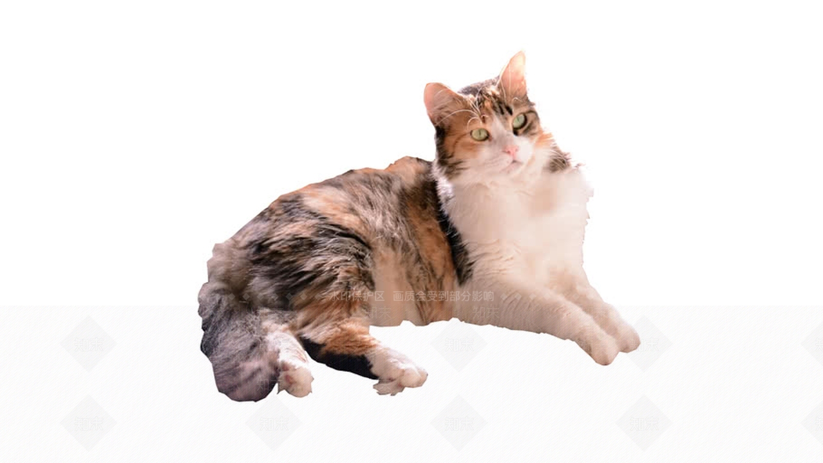 2D休息猫SU模型下载【ID:1162596887】