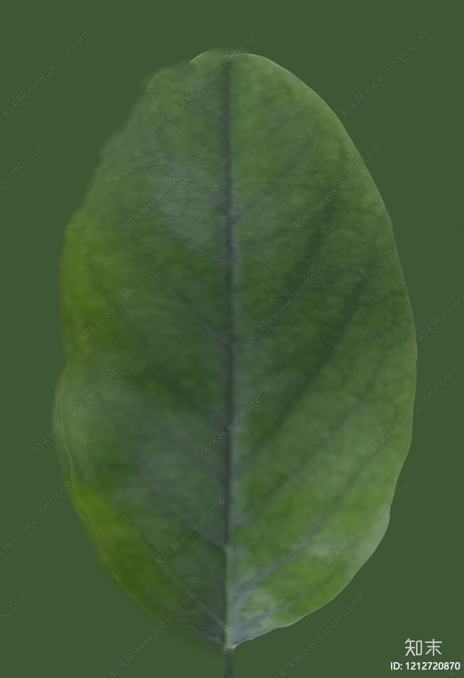叶片纹理贴图下载【ID:1212720870】