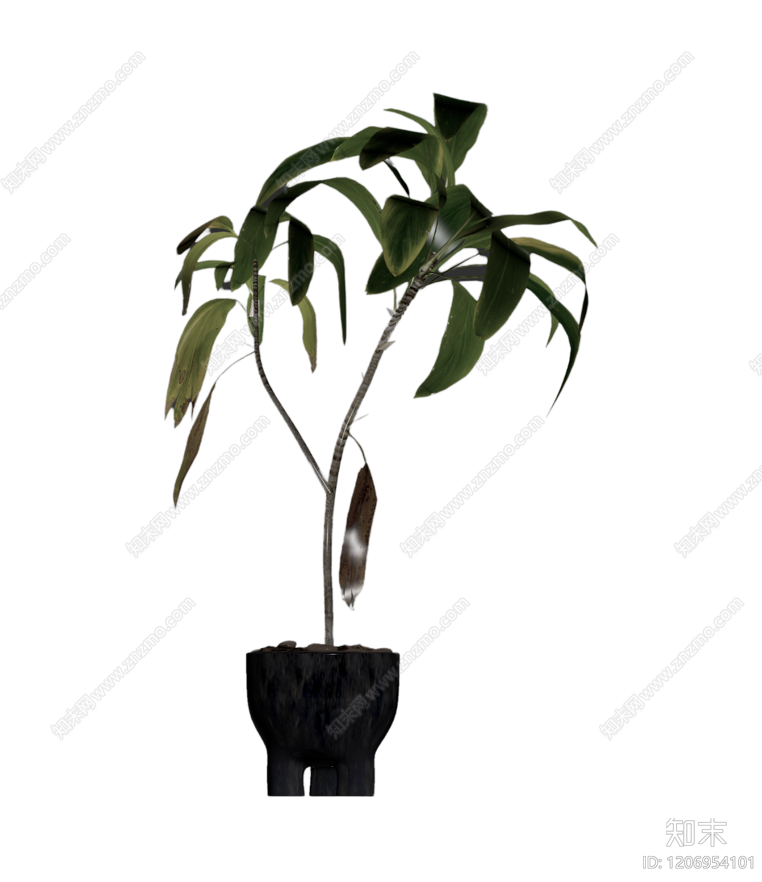 盆栽植物带花盆3D模型下载【ID:1206954101】